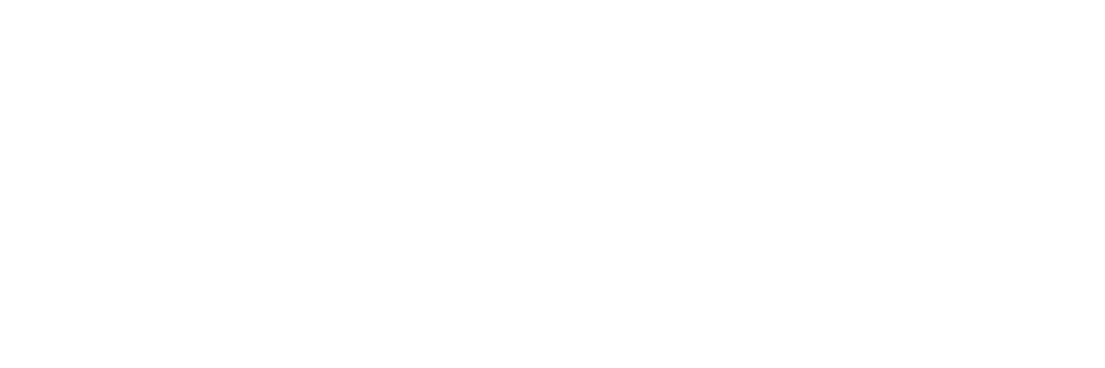 shop.theblackflakes.com